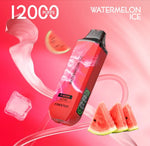 Freeton 12000  5% puff disposable